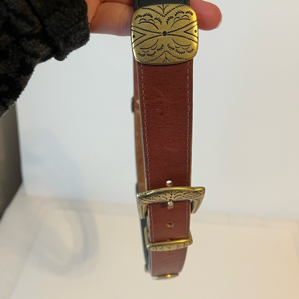 Multi-Color Leather Brighton Belt - image 2